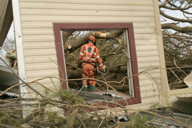 Best Leaf Removal  in Holden Heights, FL